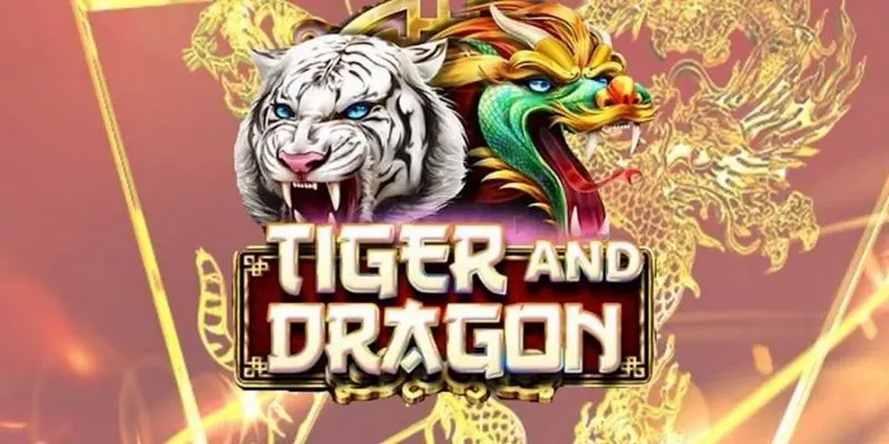 Learn about What a is Dragon Tiger?